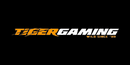 TigerGaming logo image